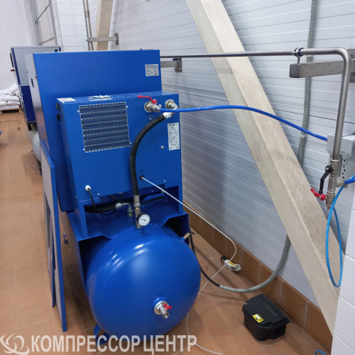Винтовой компрессор REMEZA ВК15Т-15-500Д (с осушителем)