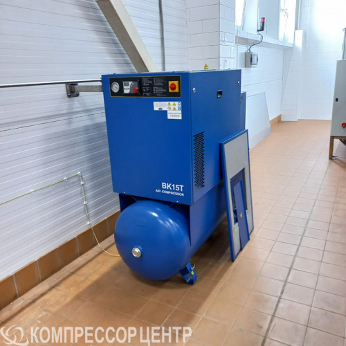 Винтовой компрессор REMEZA ВК15Т-15-500Д (с осушителем)